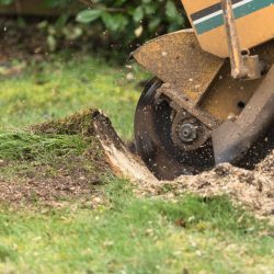 rsz_shutterstock_1044187762-stump-grinder-in-use